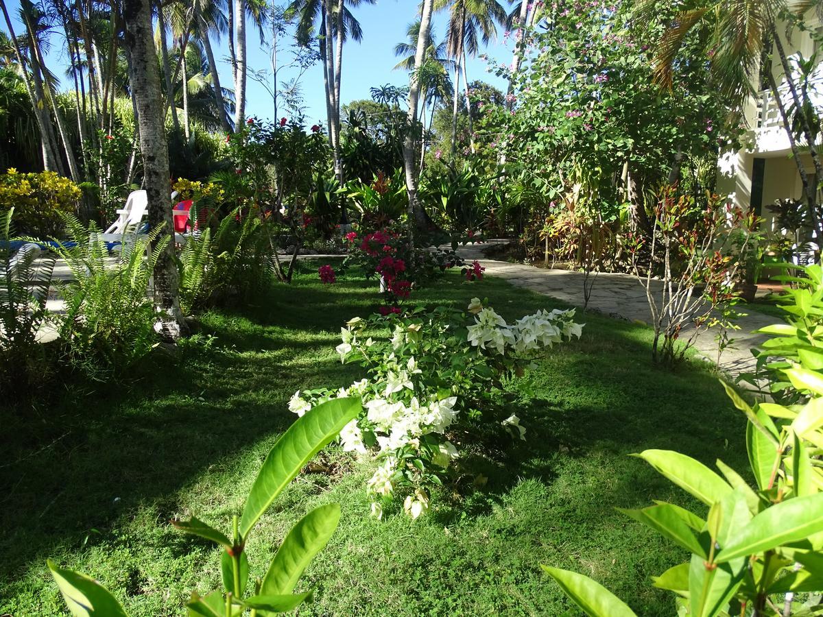 Aparthotel Albatros Cabarete Extérieur photo